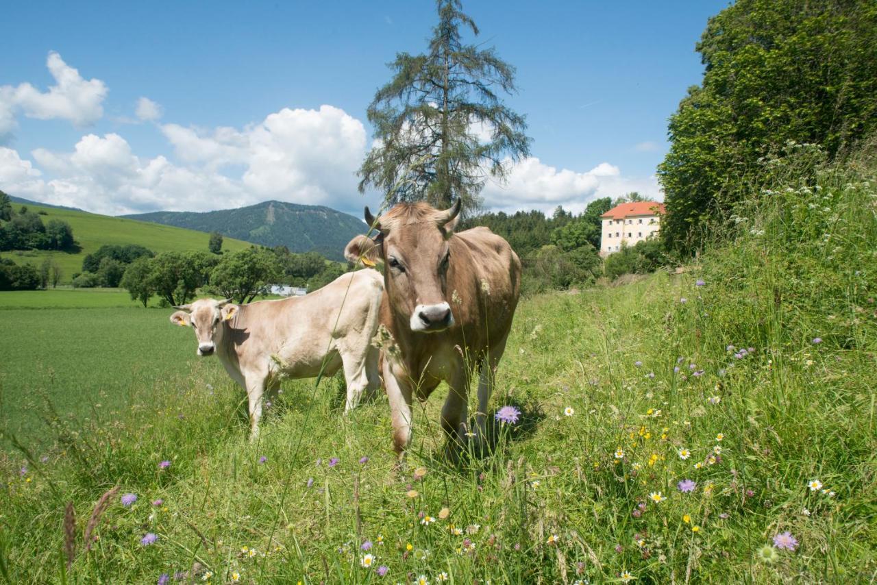Hotel Landsitz Pichlschloss Neumarkt in Steiermark Zewnętrze zdjęcie