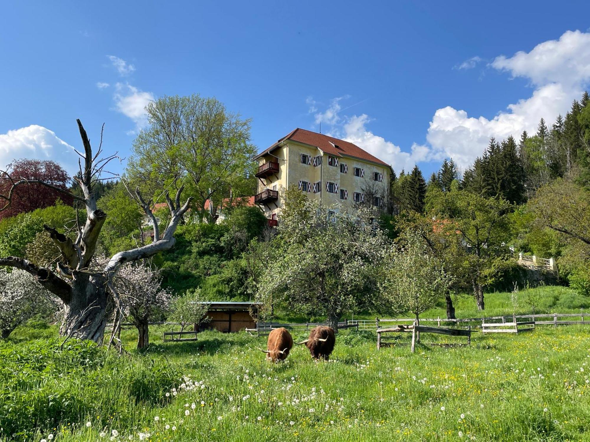 Hotel Landsitz Pichlschloss Neumarkt in Steiermark Zewnętrze zdjęcie